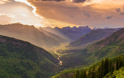 Procurement teams need continuous spend visibility