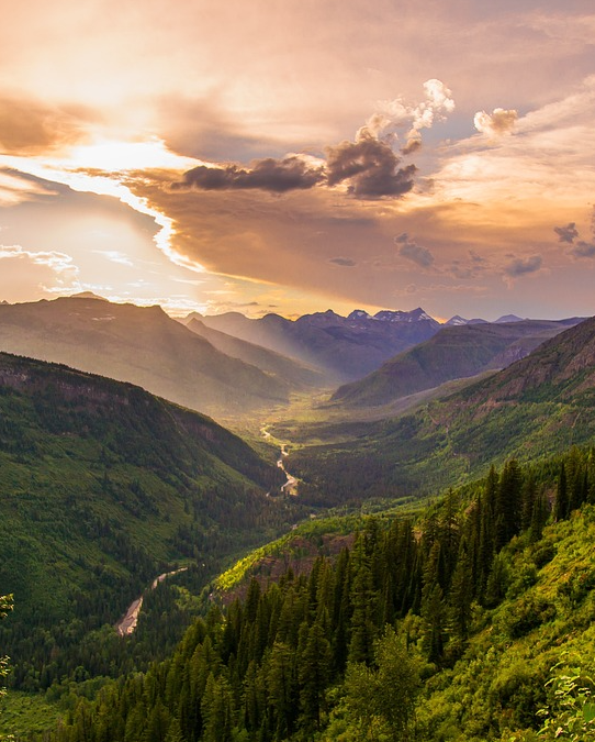 Procurement teams need continuous spend visibility